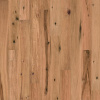 Oak Original Sahara 7.484" x 74" x 15/4 mm